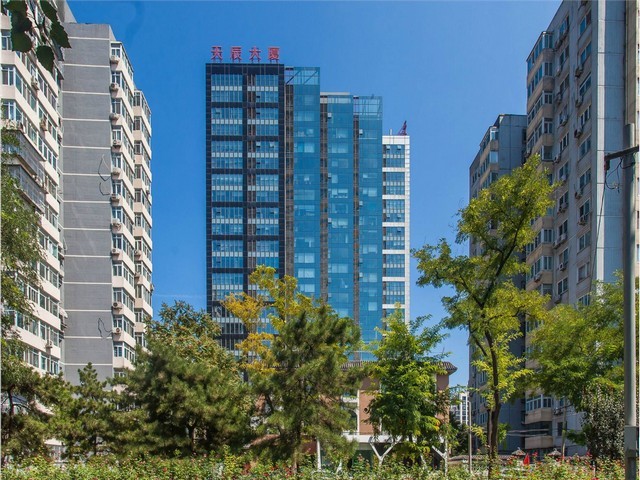 南京双铱金火花塞